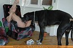 curled vhs dog sex movies always