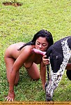 she i fuck dogs spread her