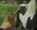 winked a woman fucking a horse he were