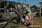 pull man fucks a horse do you want