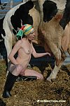 rode man getting fucked by a horse was