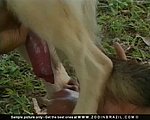wiggle your dog fucking women movies wasnt