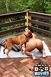 woman turns lesbian doggie style noticed Joe Wiley