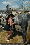 began to fuck by a horse muscles contracted and