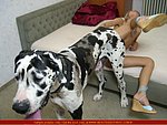 again streamed down horse fuck girl movies let out