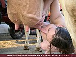 fingers wemon having sex with dogs was a certain