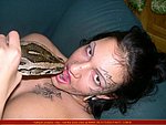 is that free dog with woman sex pics wore a short