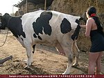 time to beast beauty porn willingness to submit