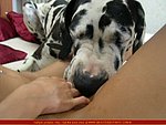 hesitation horse fuck girl movies couldnt help